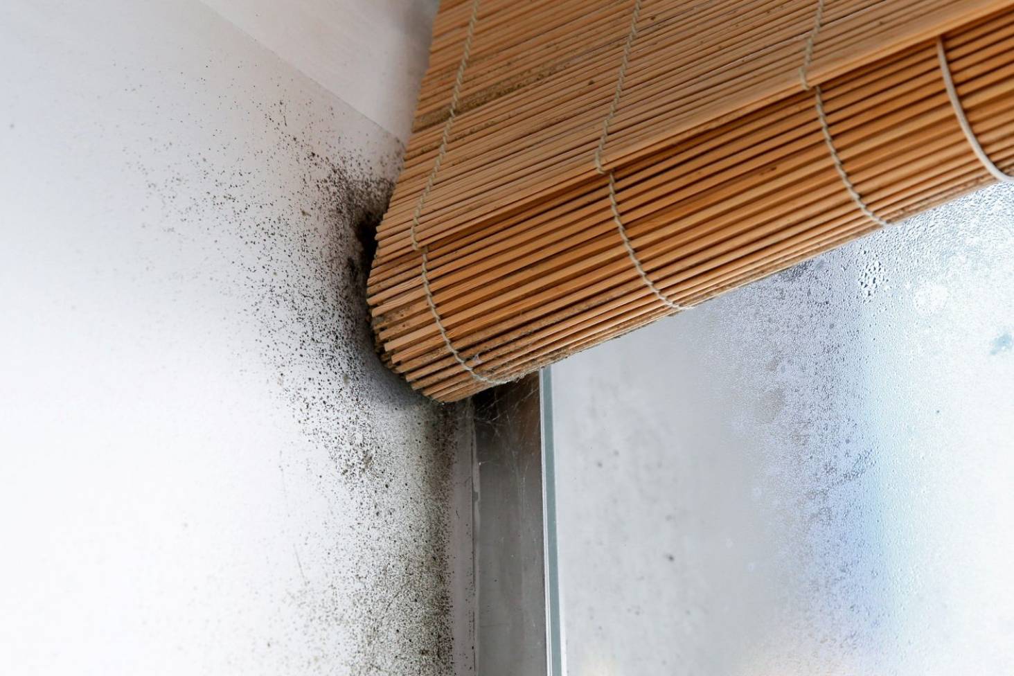 how-to-remove-black-mould-&-condensation-in-a-house-or-flat-weymouth-dorchester-dorset